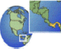 Buckner Reporting Logo